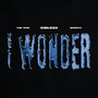 I Wonder (Explicit)