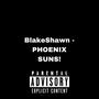 PHOENIX SUNS! (Explicit)