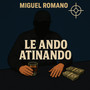 le ando atinando