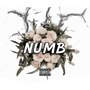 Numb