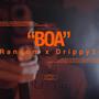 BOA (feat. Ransom) [Explicit]