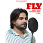 Fly