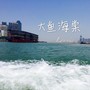 大鱼海棠