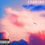 Soaring (Explicit)