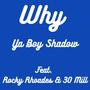 Why (feat. Rocky Rhoades & 30 Mill)