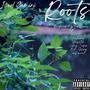 Roots (Explicit)