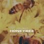 Honey Bee