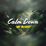 Calm Down (Gã Remix)