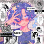 Who's That Otaku Boy??
