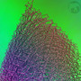 Would I Lie to You? (Single)