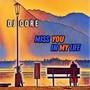 Miss You in My Life (Radio Edit)