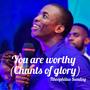 YOU ARE WORTHY (feat. Dunsin Oyekan) [Chants]