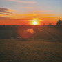 orange / yellow