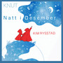 Natt i Desember