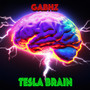 Tesla Brain