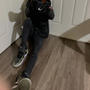 crazy story (Explicit)