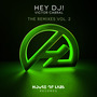 Hey Dj! (The Remixes, Vol. 2)