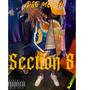 Section 8 (Explicit)