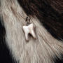 TEETH AND VELVET
