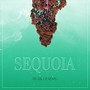 Sequoia (Explicit)