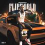 FLIPWORLD (Explicit)