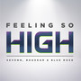 Feeling So High (Extended Mix)