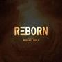 Reborn