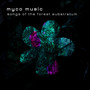 myco music: songs of the forest substratum