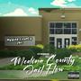 Medina County Jail Flow (Explicit)