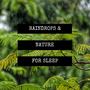 Raindrops & Nature for Sleep: Gentle Music to Heal PTSD