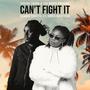 Can't Fight It (feat. Sonia Martison & Austad Sound)