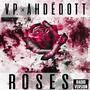 Roses (feat. V'P) [Radio Edit]