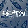 Elevation Freestyle