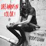 Dreaming In Color (Explicit)