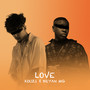 Love (Netherlands Version)