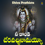 Nee Konda Cheravacchinamayyo (Shiva Prathista)