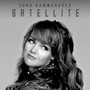 Satellite