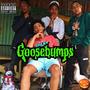 Goosebumps (feat. Lil Jay, Young Puff & Lil Alex) [Explicit]