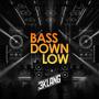 Bass Down Low