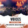 10,000 Voices (feat. Steven Parisi)