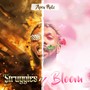 Struggles and Bloom