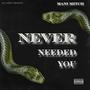 Never Needed You (Explicit)