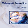 Wellness and Relaxation ~ Good Sleep