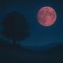 Strawberry moon