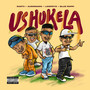 Ushukela (feat. Blue Pappi, Sastii & Lowfeye)