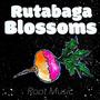 Rutabaga: Root Music Volume 1