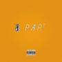 PAPI (Explicit)