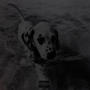 DOG IN THE WATER (Explicit)