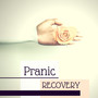 Pranic Recovery - Harmonic Resonance Treatment for Happy Minds