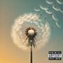 Dandelion (Explicit)